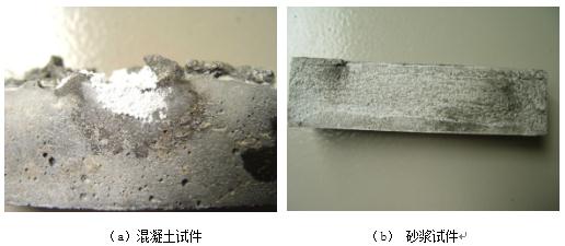 混凝土試件和砂漿試件表面的黑斑